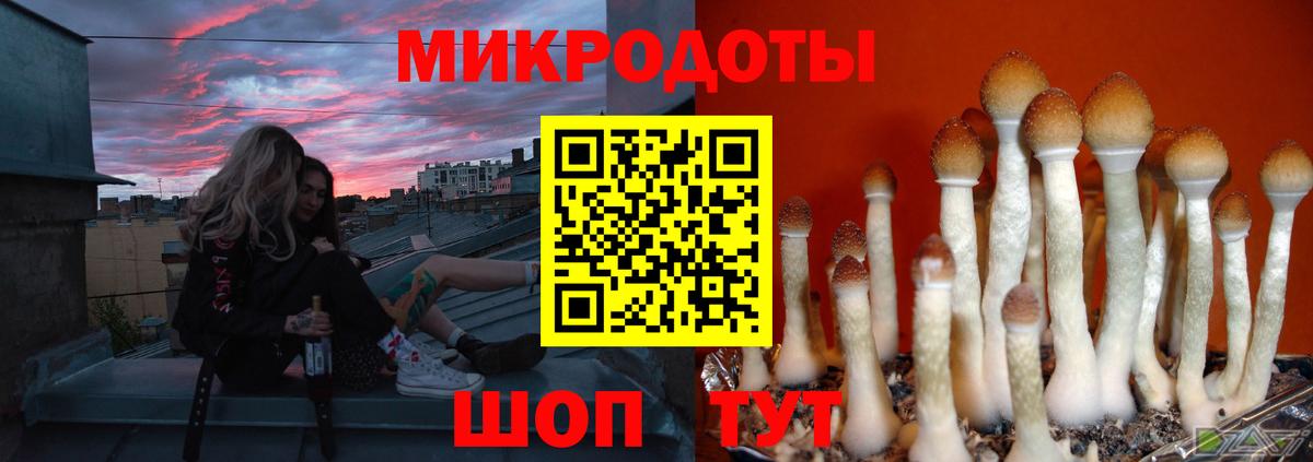 Псилоцибиновые грибы ЛСД Надым